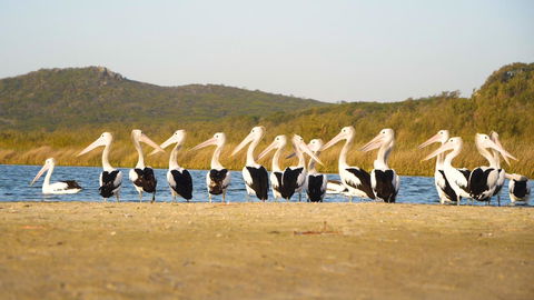 Castaways Moreton Island - Kawana Tourism 11