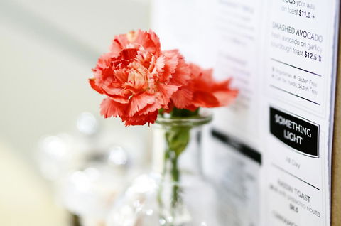 Madison Plaza Townsville - Kawana Tourism 20