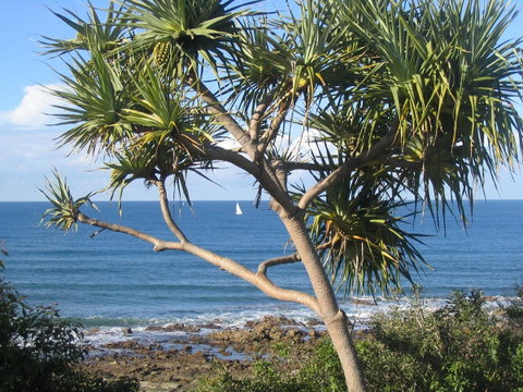 Headland Tropicana Resort - Kawana Tourism 39