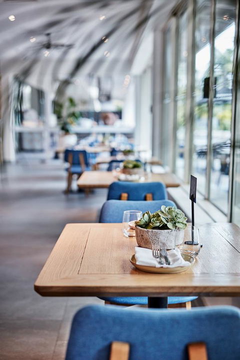 Novotel Cairns Oasis Resort - Kawana Tourism 19