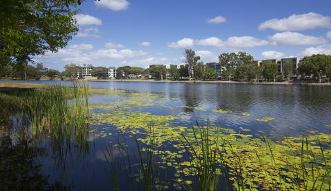 Jacana Apartments - Kawana Tourism 15