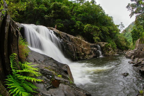 Coral Tree Inn - Kawana Tourism 40