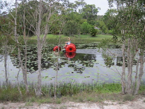 1770 Southern Cross Travellers Retreat - Kawana Tourism 16