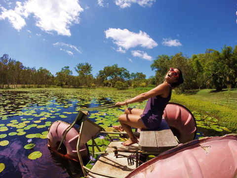 1770 Southern Cross Travellers Retreat - Kawana Tourism 18