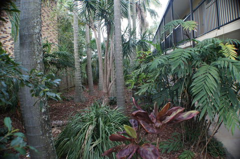 Best Western Airport 85 Motel - Kawana Tourism 34