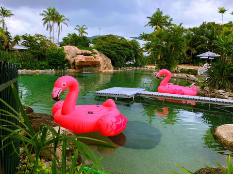 Cairns Colonial Club Resort - Kawana Tourism 6