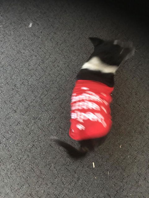 Nanango Star Motel - Kawana Tourism 1