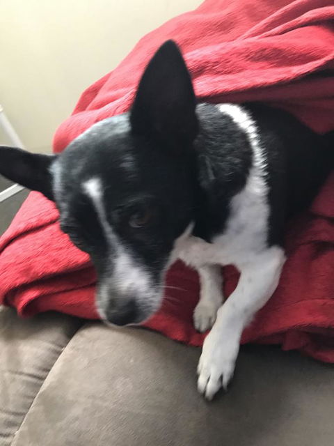 Nanango Star Motel - Kawana Tourism 15