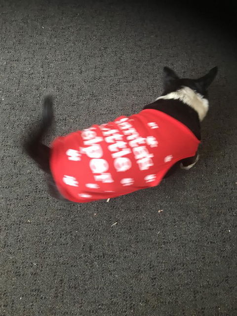 Nanango Star Motel - Kawana Tourism 2