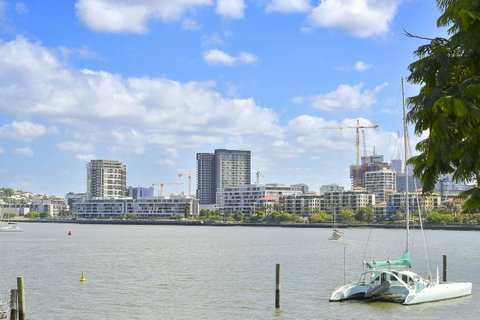 Anville Court - Kawana Tourism 18