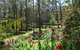 Werekataba - thumb 0