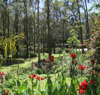 Werekataba - Kawana Tourism