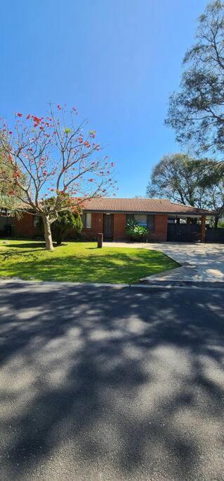 Abbey Beach Cottage - Kawana Tourism 1