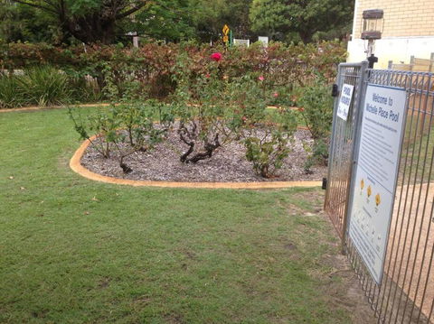 Affordable Inglewood Apartment+Pool - Kawana Tourism 4