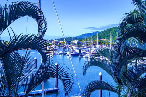 Absolute Luxury Marina Lifestyle At The Port Of Airlie Beach - Kawana Tourism 4