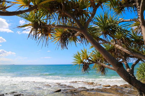 Alex Heads Beachfront Resort 2 Bedroom Apartment - Kawana Tourism 3