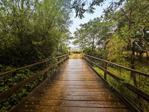 Alpaca Tiny House With Vineyard Lakeside By Tiny Away - Kawana Tourism 1