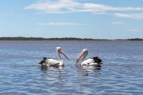 Amazing Ansons Bay Remote Paradise For The Family In The Bay Of Fires Area - Kawana Tourism 2