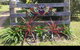 ARALUEN - COOMBA BAY - Pet Friendly - Farm Stay On 10 Peaceful Acres - thumb 4