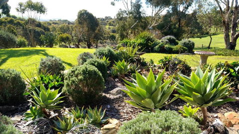 Austiny Bed And Breakfast Victor Harbor - Kawana Tourism 2