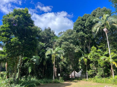Avana Byron Glamping - Kawana Tourism 2