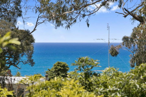 Avirgonia - Kawana Tourism 2