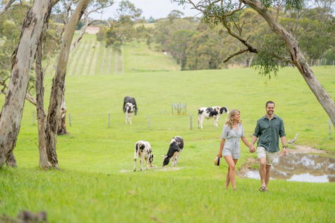 Away At Ancell - Kawana Tourism 1