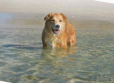 Away Nelson Bay, 29 Wollomi Ave - Spacious Family Home With Water Views, Pet Friendly, Wifi & Aircon - Kawana Tourism 2