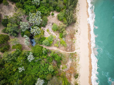 Balgal Beach Units - Kawana Tourism 1