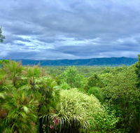 Daintree Manor BB - Kawana Tourism