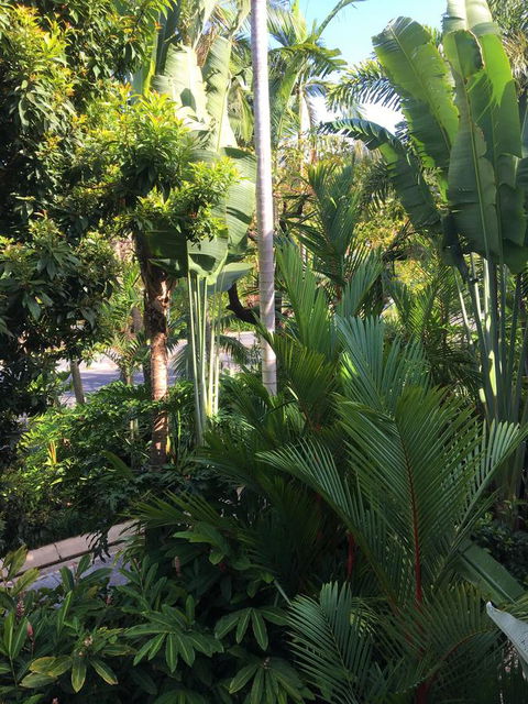 Port Douglas Apartments - Adults Only Oasis - Kawana Tourism 1