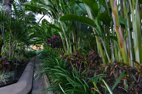 Port Douglas Apartments - Adults Only Oasis - Kawana Tourism 9