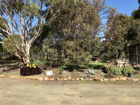 Beeâ€™s Place - 3 Bedroom Home On 10 Acres Of Land With Distant Ocean Views - Kawana Tourism 15