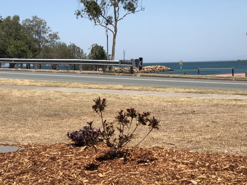 Bribie Waterways Motel - Kawana Tourism 18