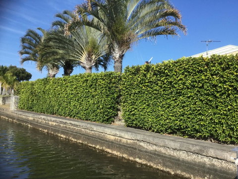 Private Canal Duplex With Pontoon - Oleander Drive, Bongaree - Kawana Tourism 8