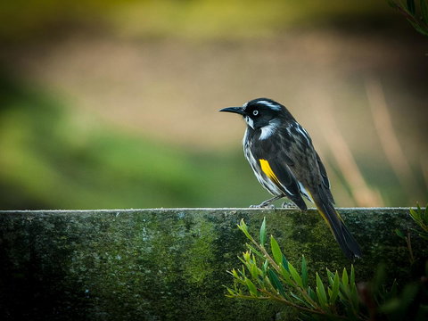 Parnella Adventure Bay, Bruny Island - Kawana Tourism 21