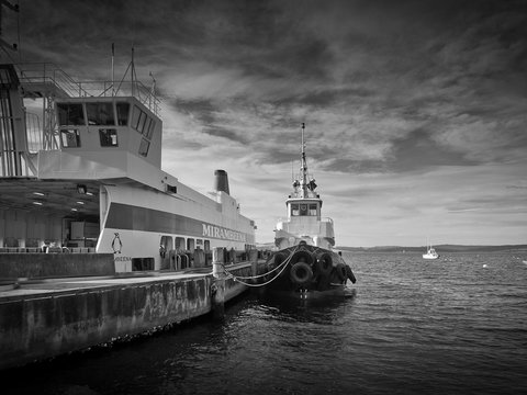 Parnella Adventure Bay, Bruny Island - Kawana Tourism 23