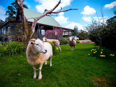 Parnella Adventure Bay, Bruny Island - Kawana Tourism 19