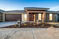 Book Clyde Accommodation Vacations Kawana Tourism Kawana Tourism