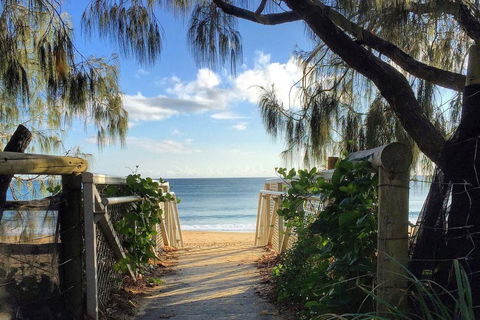 20 Steps To The Sand! - Kawana Tourism 0