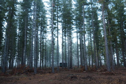 CABN Kuitpo Forest - Kawana Tourism 2