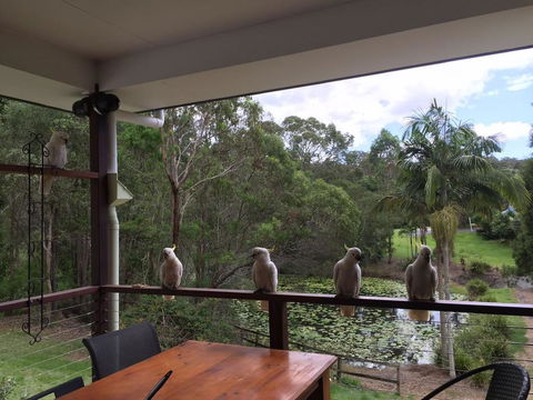 449 - Kawana Tourism 0