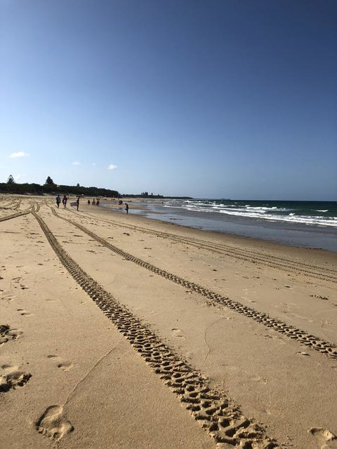 8 ON ELYSEE Alexandra Headland / Mooloolaba Beach - Kawana Tourism 2