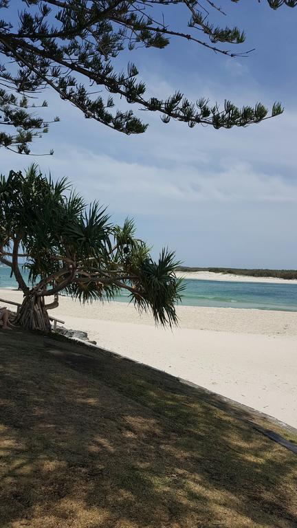 8 ON ELYSEE Alexandra Headland / Mooloolaba Beach - Kawana Tourism 3