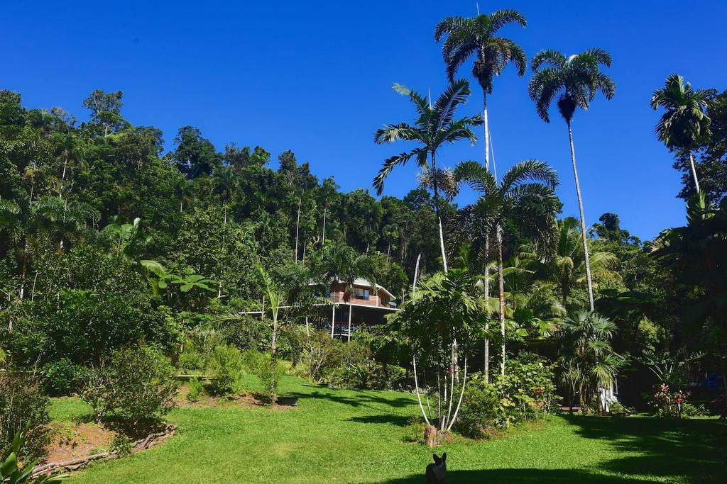 Diwan QLD Kawana Tourism