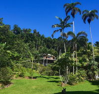 A Daintree Garden - Kawana Tourism