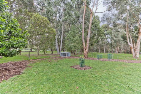 A Grape Escape - Kawana Tourism 3