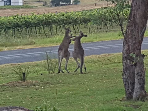 A Stanthorpe Getaway - Kawana Tourism 3