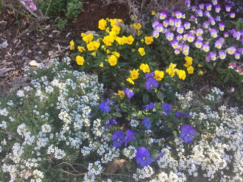 A Very French House - Kawana Tourism 2