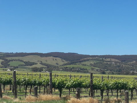 A Victor Harbour Retreat Aldinga Tony's Music Cottage - Kawana Tourism 3